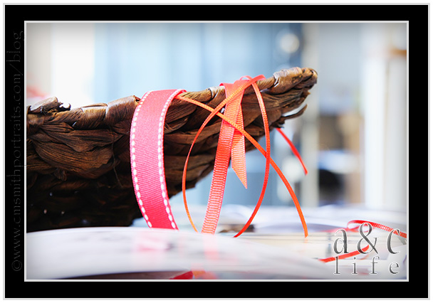 treephotos-006 treephotos-006